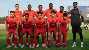 toulouse metropole  mfctg